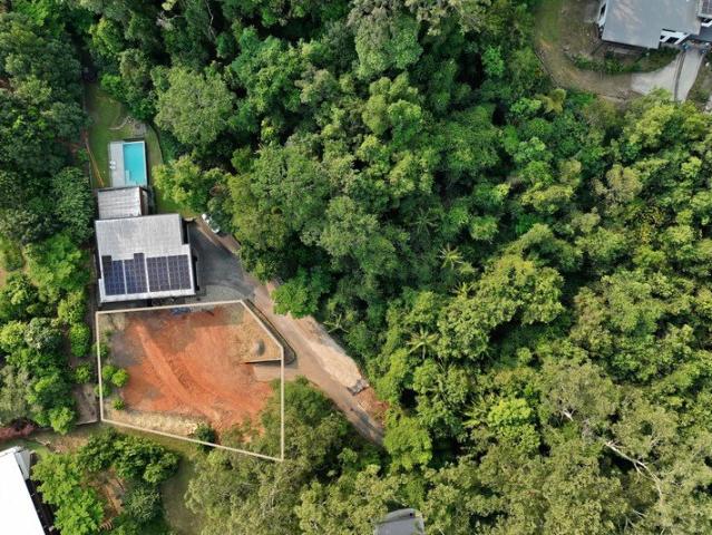 Your Build Ready Rainforest Sanctuary