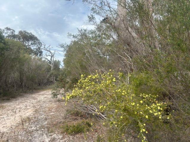 Your Bush Sanctuary Awaits