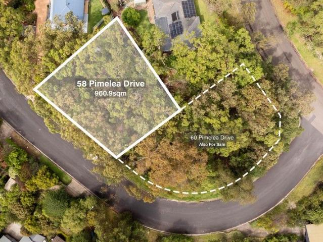 Your Bushland Blank Canvas