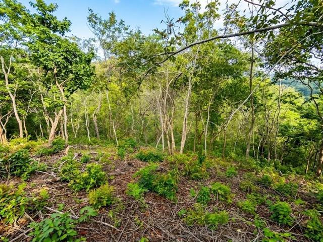 Your Blank Canvas in Paradise! 1.23 Acre Land Near the Beach and Airport