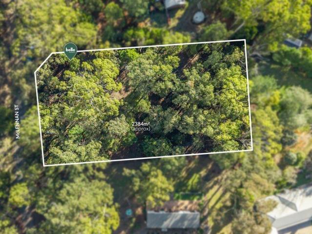 Your Blackwood Bush Escape Awaits