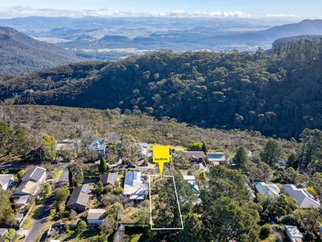 YOUR BLUE MOUNTAINS DREAM