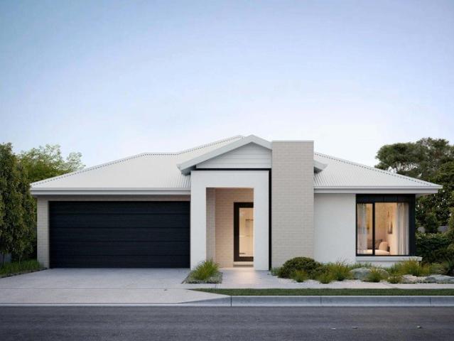 Your bold and beautiful home, built by us
