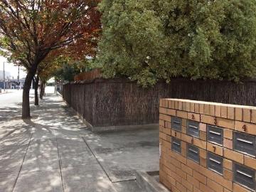Your City Side Sanctuary or Savvy Investment