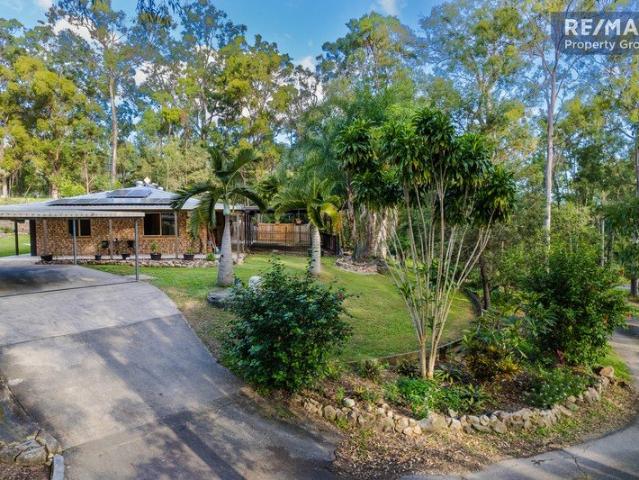 Your Dream Rental Home Awaits