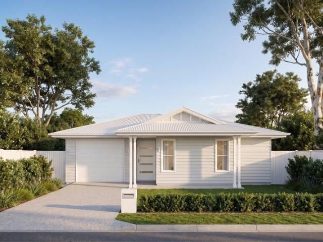 Your First Home by the Beach Starts Here Meet the Border Terrier 135