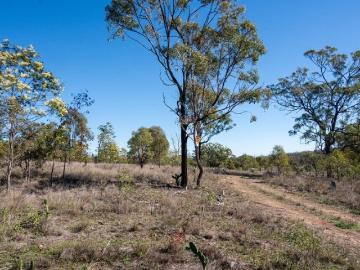 Your Golden Opportunity! Dunn's Gully Thanes Creek
