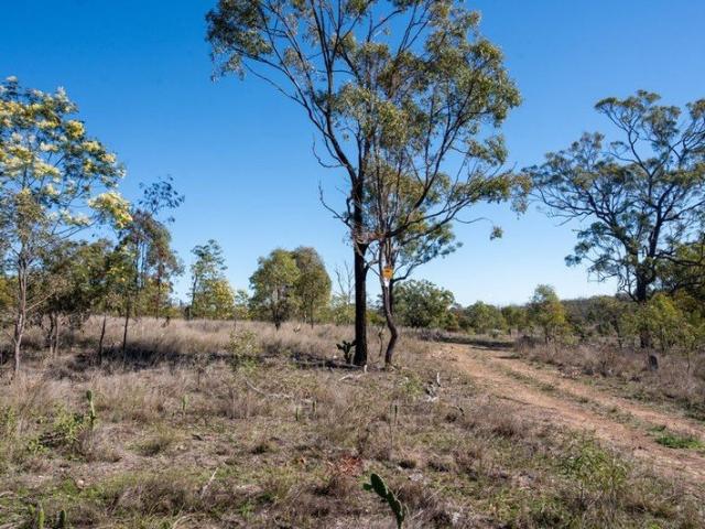 Your Golden Opportunity! Dunn's Gully Thanes Creek