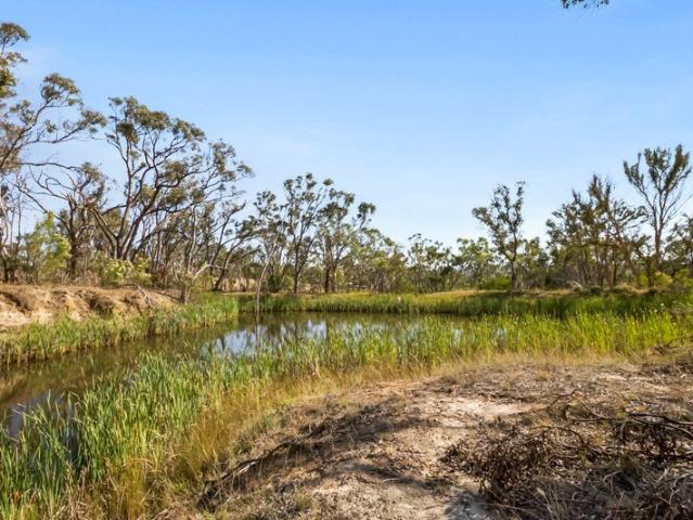 Your Private Bush Escape 2.31 Hectares, Only Minutes from Uralla