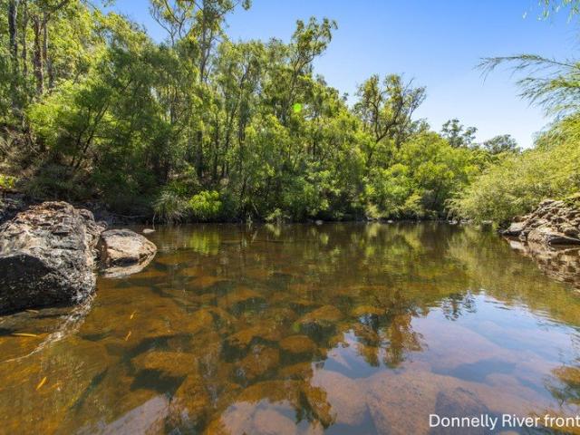 Your Private Escape in the Southern Forest