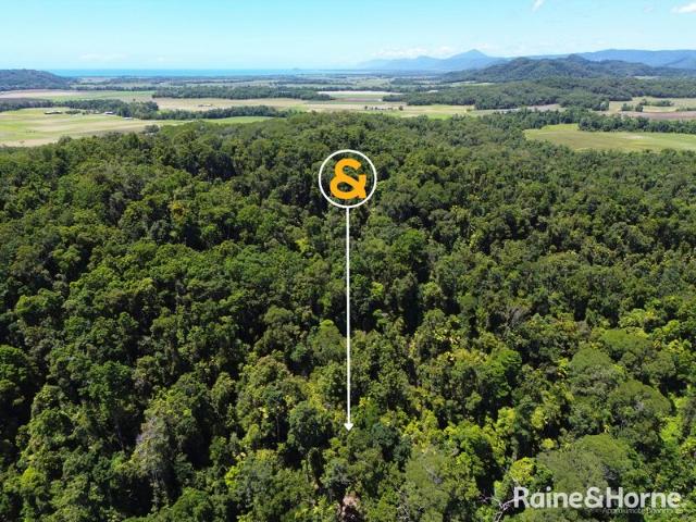 Your Rainforest Retreat Starts Here