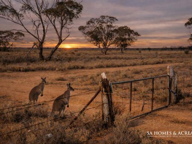 Your Ultimate Rural Escape 197.5 Hectares Approx. 493.75 Acres