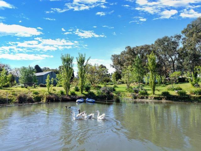 Your 10 Acre Country Escape Awaits