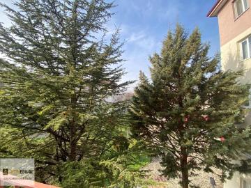 Bolu, Bolu ili, Karadeniz Bölgesi - Asansör