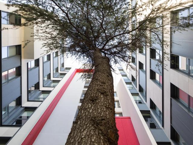 Yugo Emilia Pardo Bazán, Madrid Student Accommodation | Amber