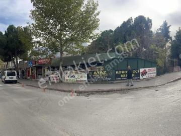 Amasya ili, Karadeniz Bölgesi