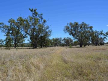 Yuluma Rural Lifestyle, Grazing & Seclusion West of Warwick