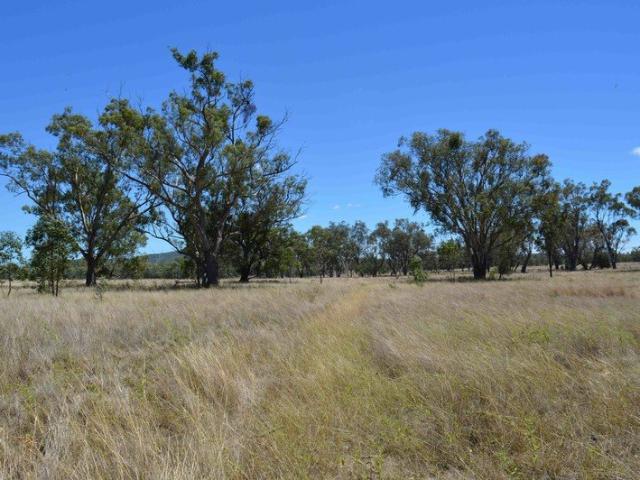 Yuluma Rural Lifestyle, Grazing & Seclusion West of Warwick