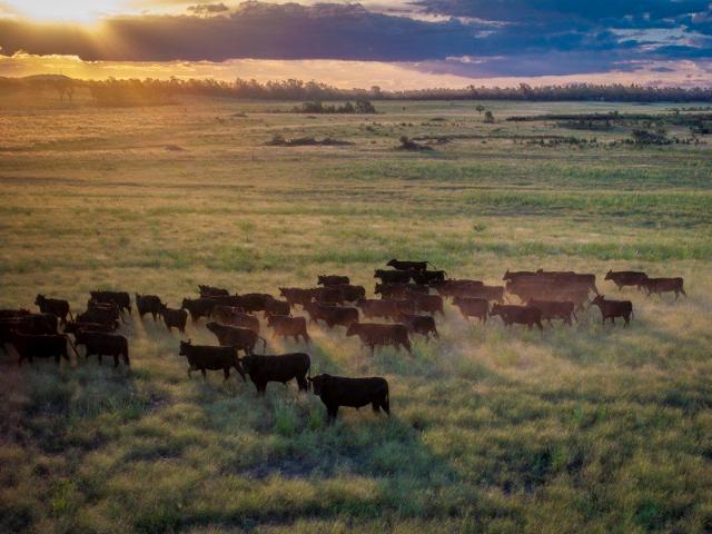 'Yuringo' Unprecedented farming opportunity in Dubbo