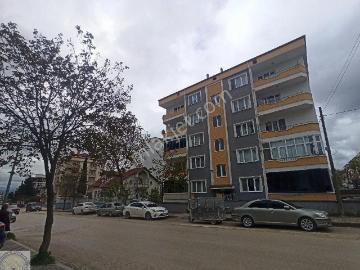 Merzifon, Amasya ili, Karadeniz Bölgesi