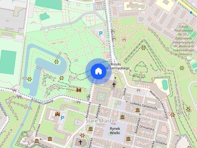 Zamość, Centrum, 180 mkw garaż w cenie