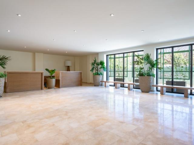 Zantamar 205C