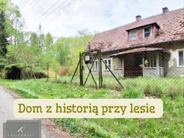 Zabytkowy dom przy lesie na dużej działce 7910 m2