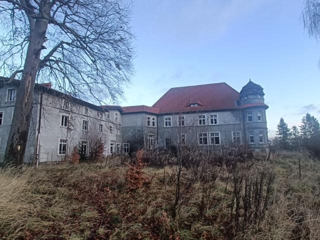 Zabytkowy Pałac w Małkowie 2 053 m² z działkami, inwestycja