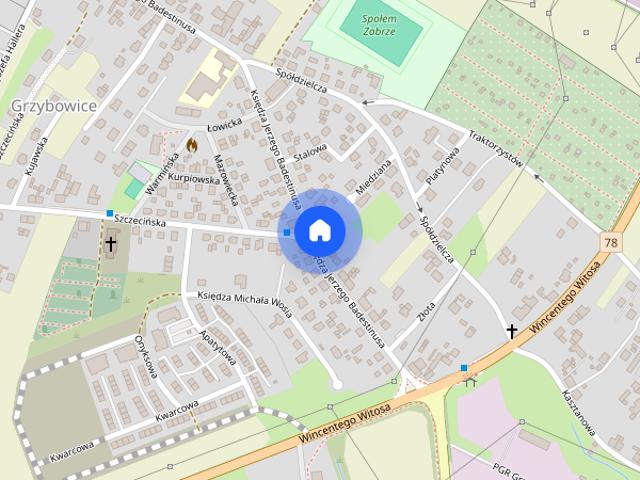 Zabrze Grzybowice, ul. Wincentego Witosa