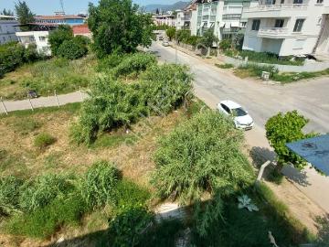 Zaferde Geniş Ferah Satılık Daire