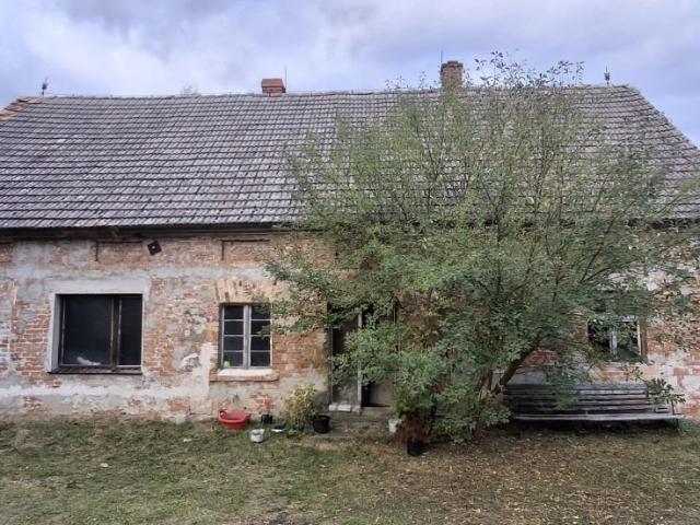 Zapraszam do domu 100 m² w Golina z dużym potencjałem