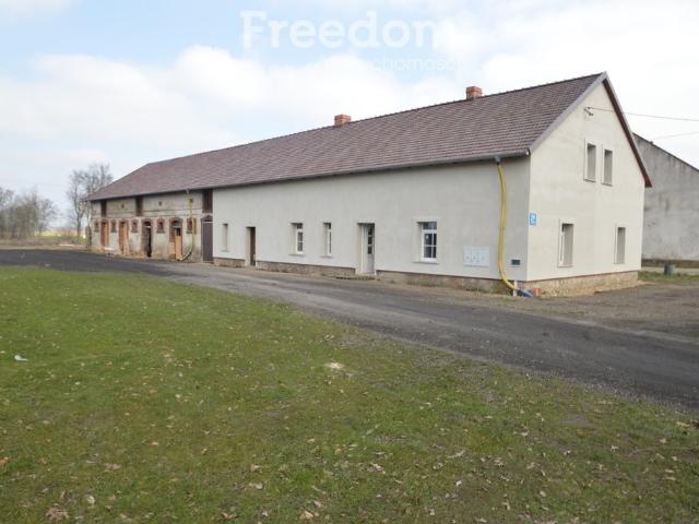 Zapraszam do domu 250 m² z możliwością podziału w Dębiu