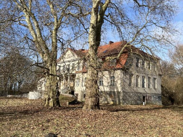 Zapraszam do obejrzenia zabytkowego pałacu 846 m² w Skórzynie