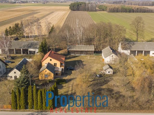 Zapraszam do obejrzenia domu 193 m² z dużą działką w Nowym Gołyminie