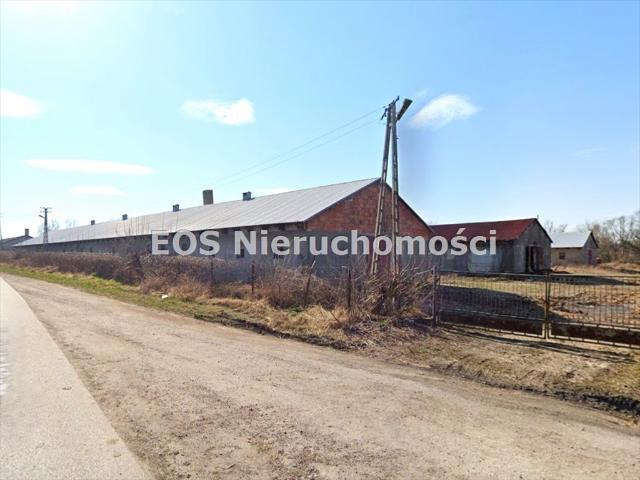 Zapraszam do obejrzenia dużej nieruchomości 5510 m² w Nowej Suche