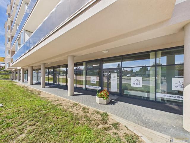Lokal 313 m² na ul. Hallera w Białymstoku duża przestrzeń