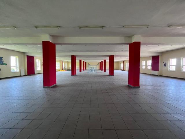 Zapraszam do wynajmu 1520 m² lokalu usługowo handlowego w Żorach