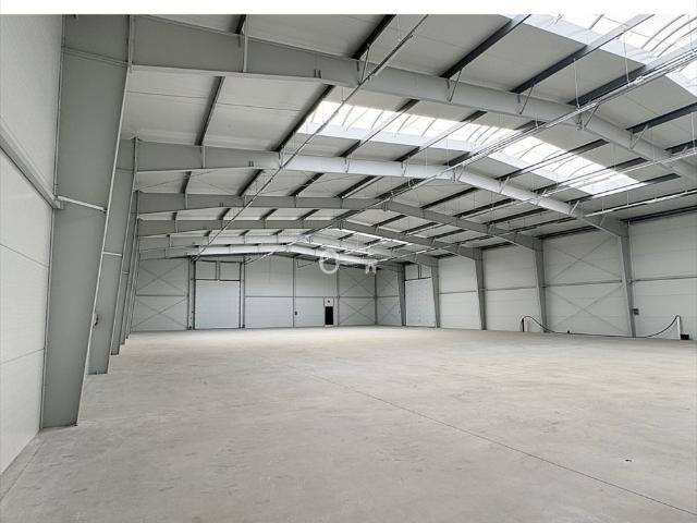 Zapraszam do wynajmu nowoczesnej hali 1100 m² w Miszewie