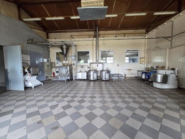Kompleks produkcyjny cukierniczy 2 476 m2 z pełnym wyposażeniem