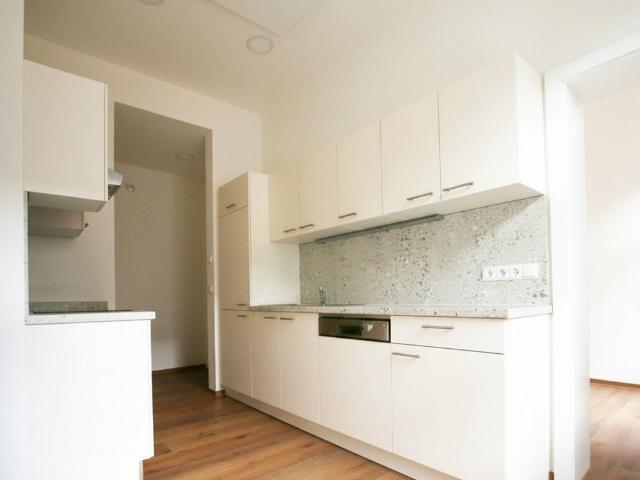 Zentral gelegene 2 Zimmerwohnung + extra Küche mit Platz für einen Esstisch, Gartenmitbenützung