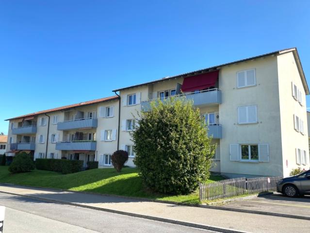 Zentral gelegene 3.0 Zimmer Wohnung in Naturnähe
