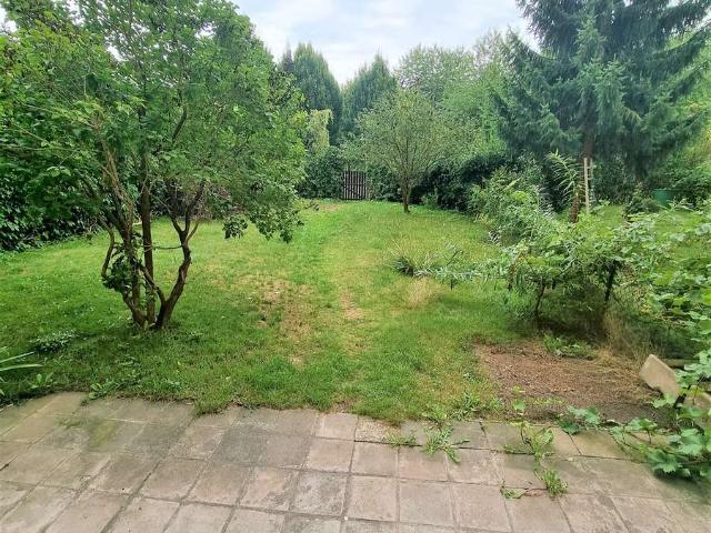 Zentral gelegene 3 Raumwohnung mit Garten
