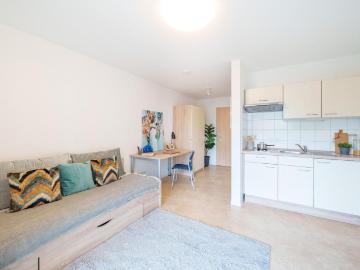 Zentral gelegenes 1‑Zimmer Apartment zur Miete in Dresden Neustadt – Wentzel Dr