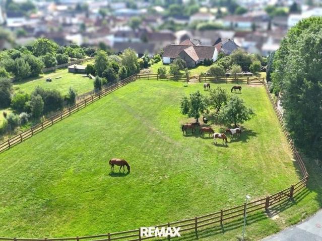 zentral gelegener Vierkanthof mit großer Wiese und 2 Stadeln Perfekt geeignet für Tierhaltung