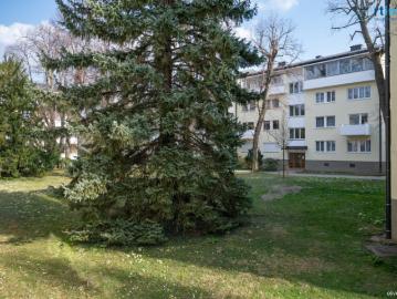 First Floor zum Verkauf in 2500 - Garten