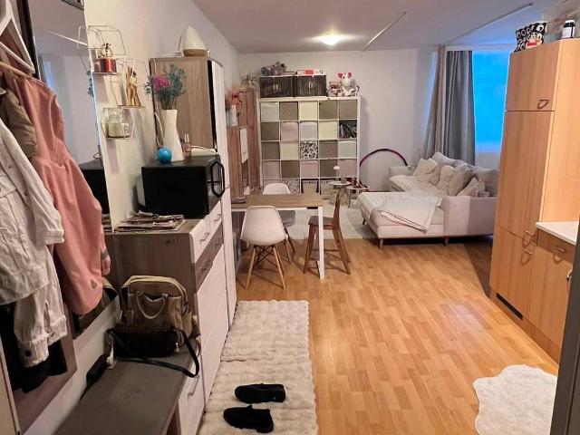 Zentrale 1 Zimmerwohnung in Seekirchen am Wallersee