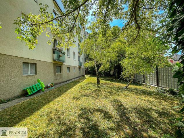 Zentrale 3 Zimmerwohnung