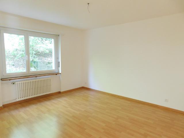 Zentrale und absolut ruhige Wohnlage in Olten