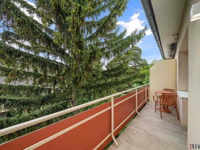 Zentrale und hochwertig Sanierte 1 Zimmer Wohnung mit SÜD WEST Terrasse und Grünblick in gepfegter Anlage