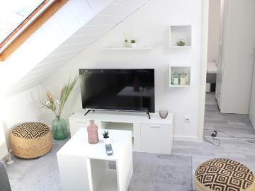 Zentrales schickes möbliertes Apartment